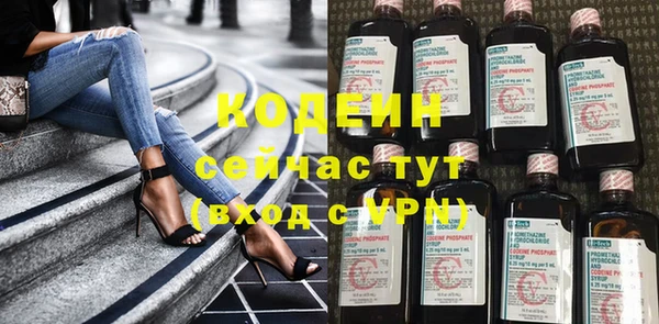 мдпв Верхний Тагил