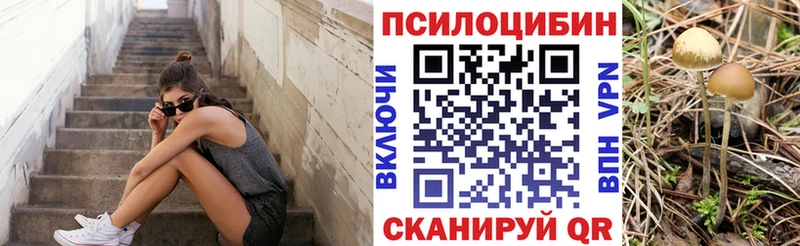 цены наркотик  OMG tor  Псилоцибиновые грибы Cubensis  Калач-на-Дону 